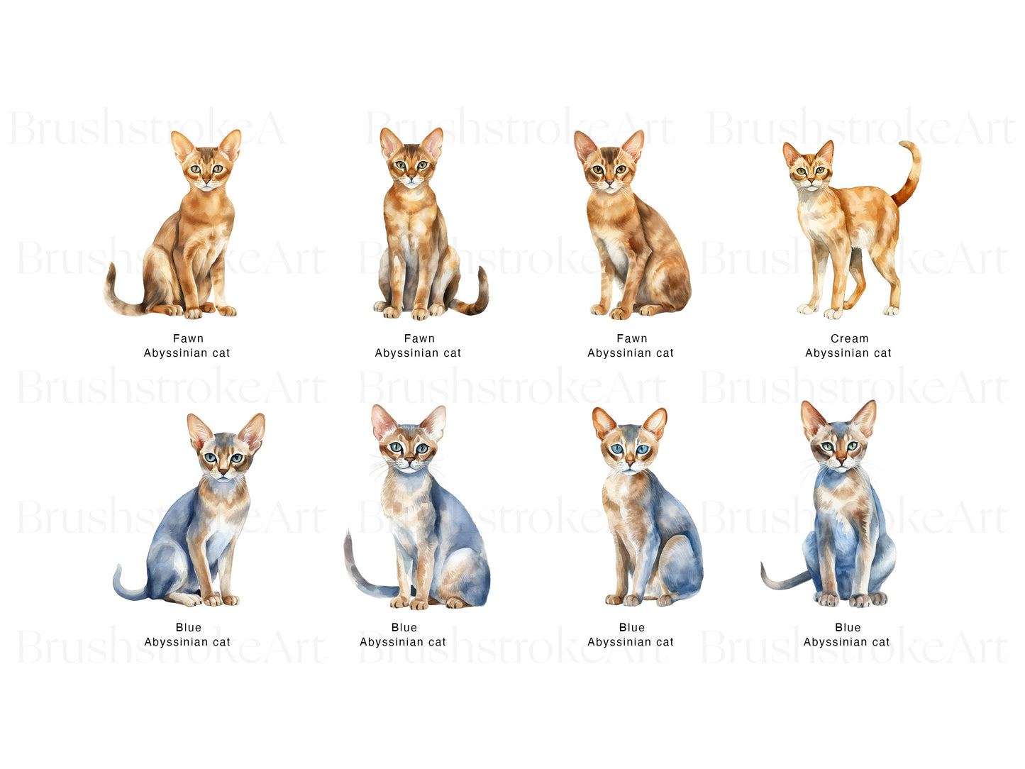 Cat Breeds