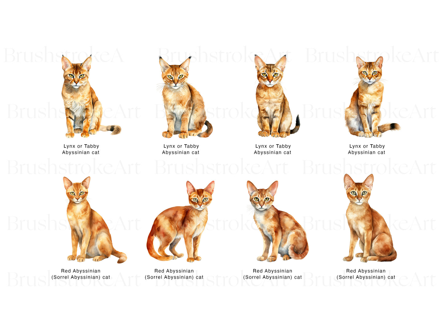 Cat Clipart