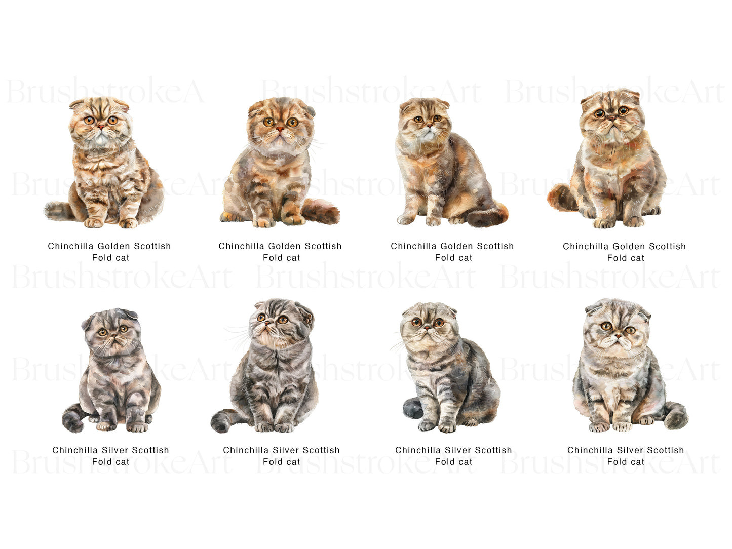 Cat Clipart