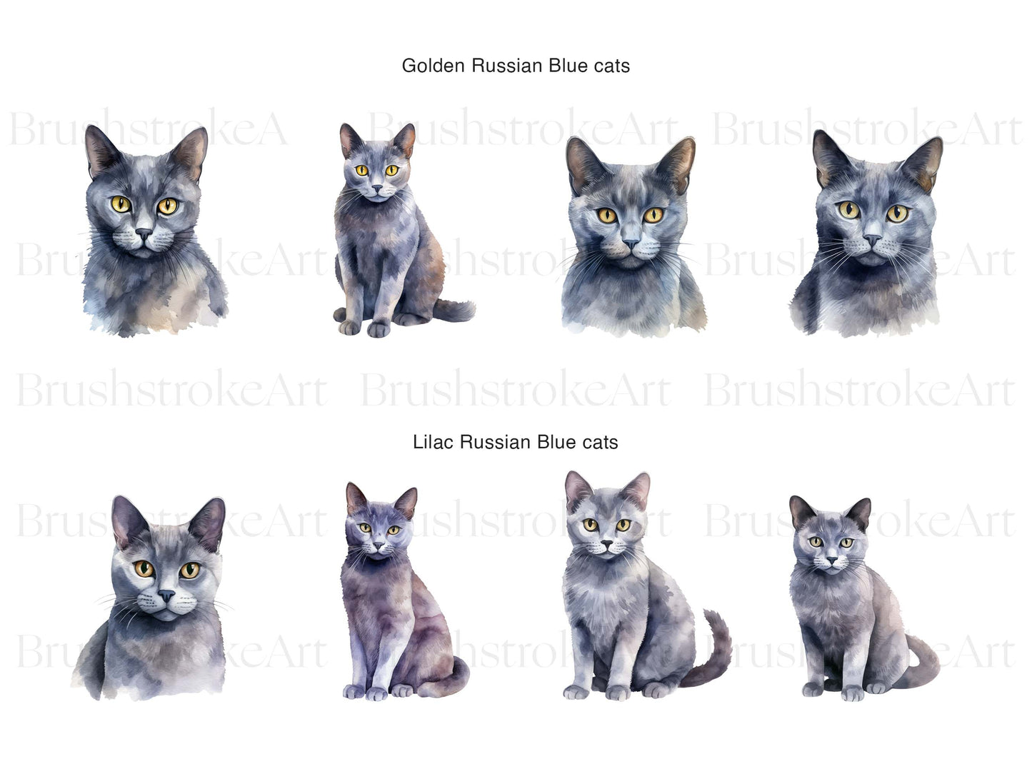 Russian Blue Cat Clipart, Watercolor Cat, Russian Cat Breed