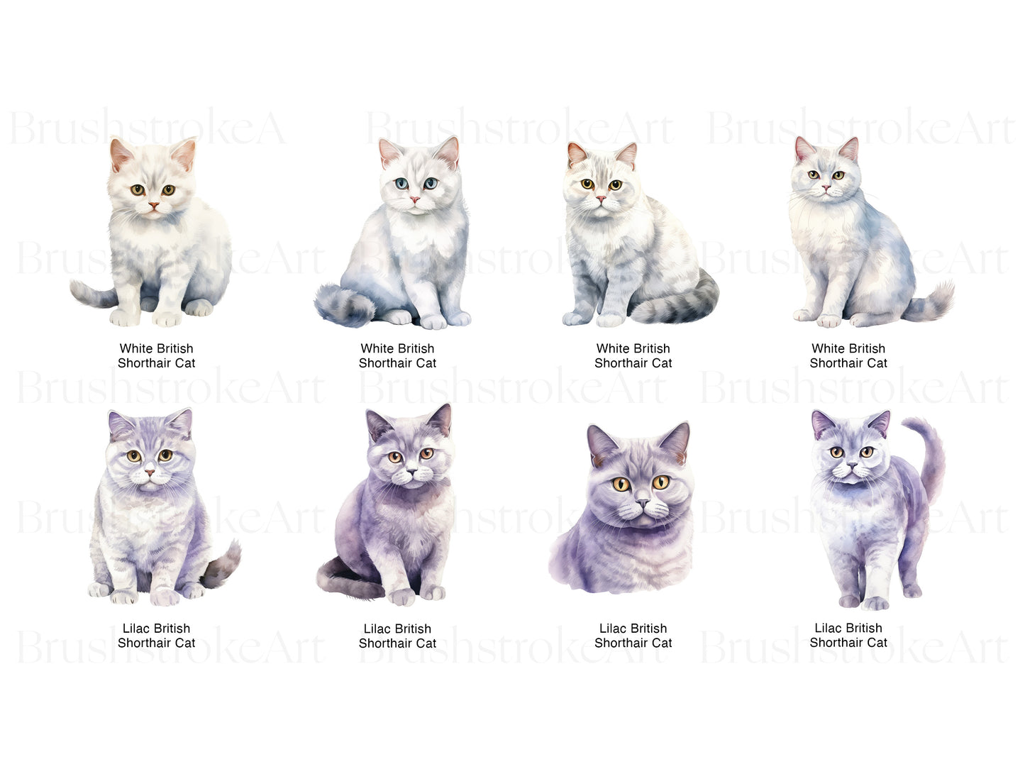 Cat Clipart