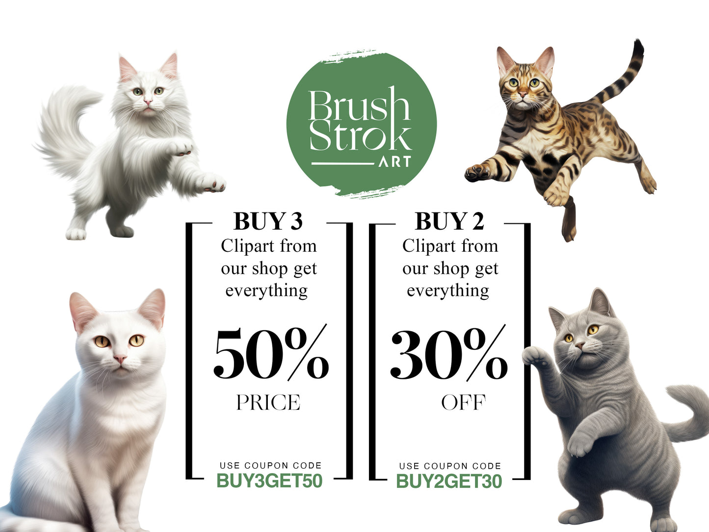 Cat Images