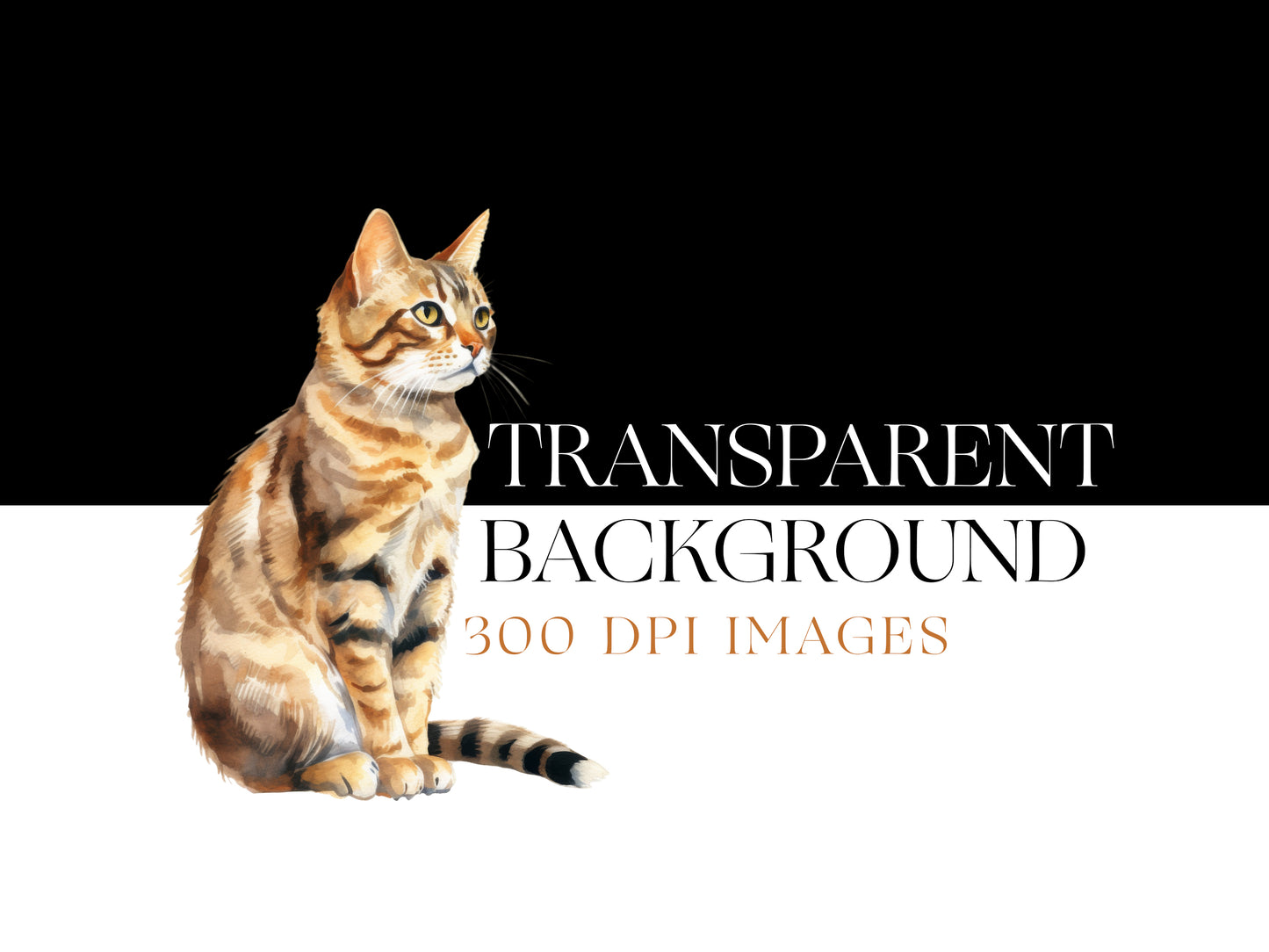 Cat PNG