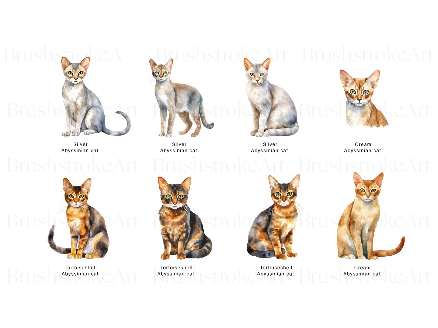 Cat PNG