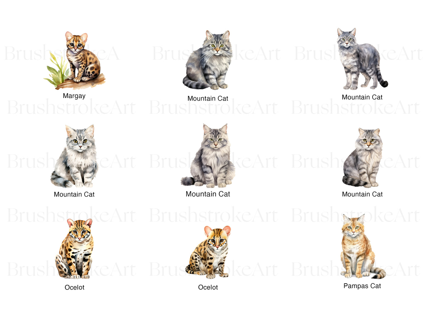 Cats Predators