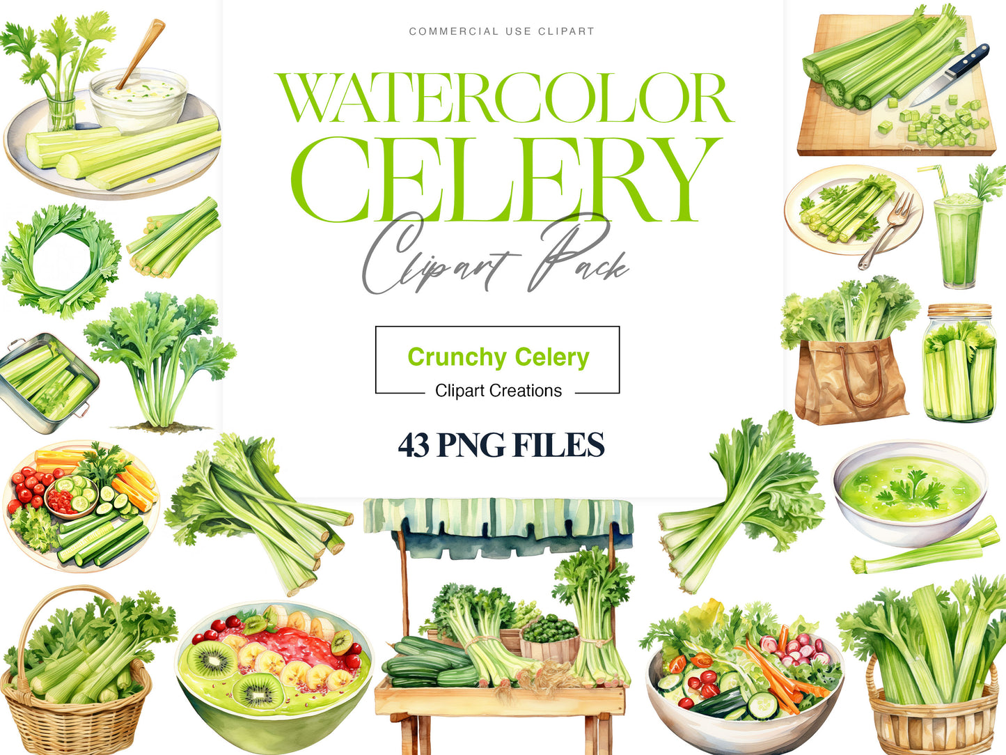 Celery Clipart