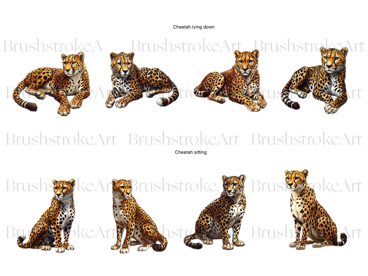 Cheetah Digital