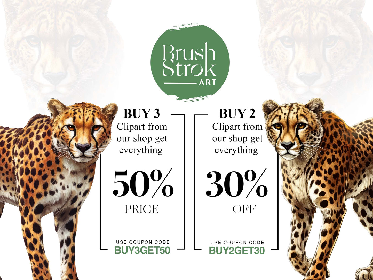 Cheetah Images