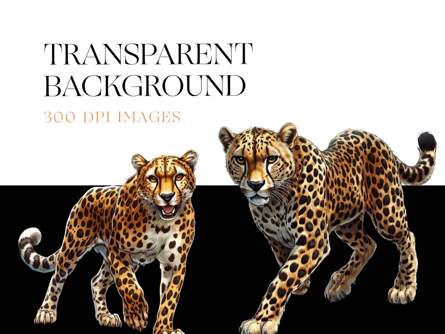 Cheetah PNG