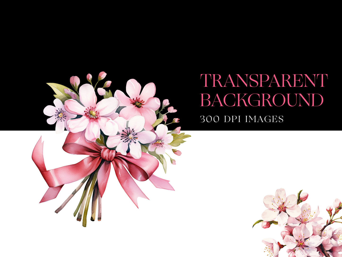 Cherry blossom png