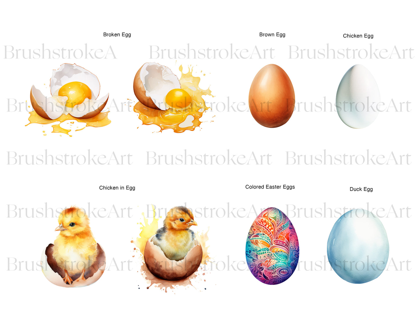 Chick Hatching
