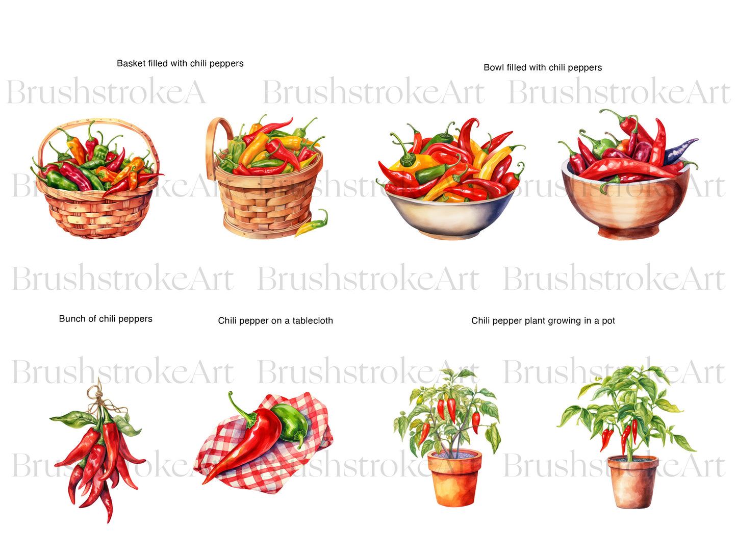 Chilli Peppers