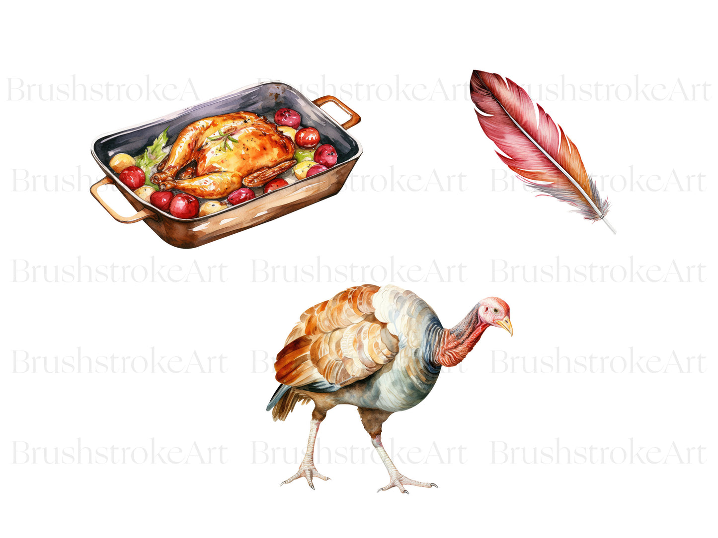 Clip Art Turkey Free