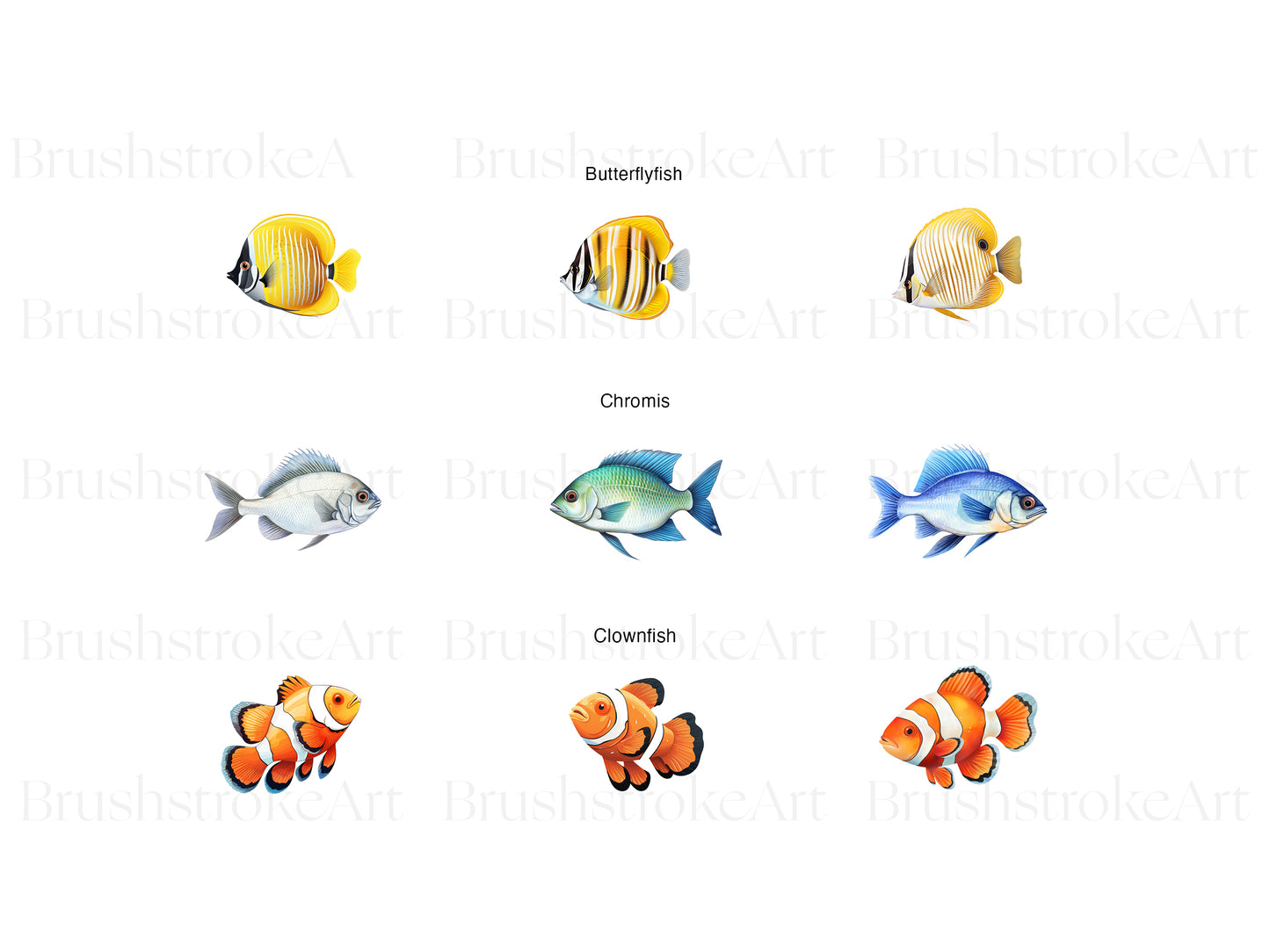 Clownfish Clipart