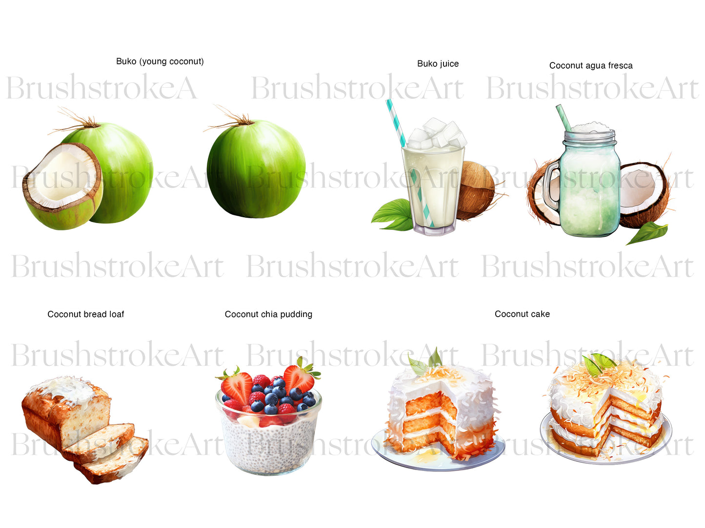 Coconut Clipart