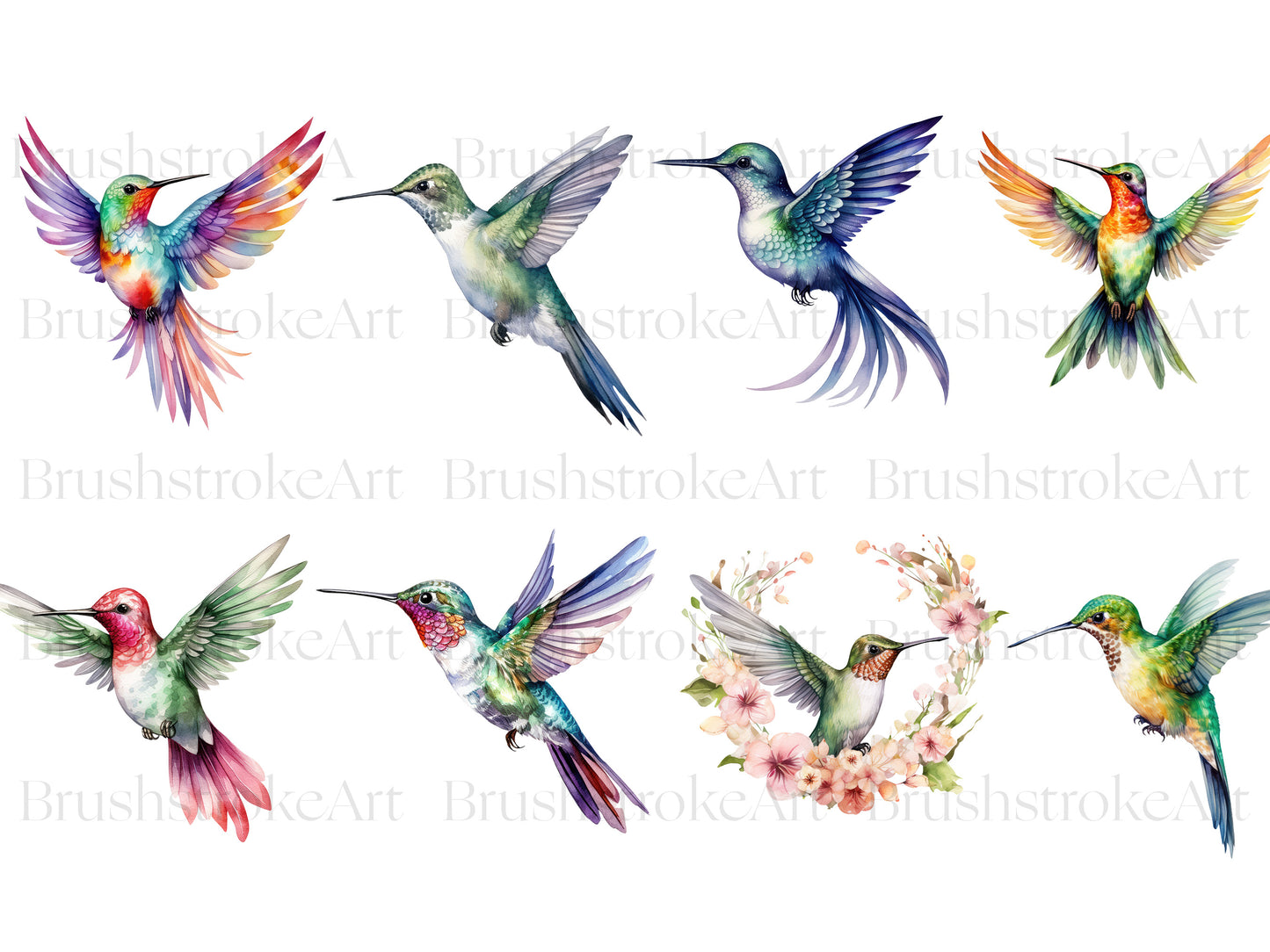 Colorful Bird