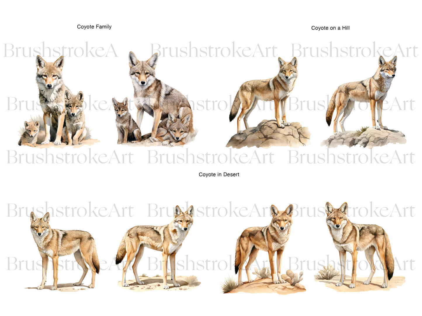 Coyote Graphics