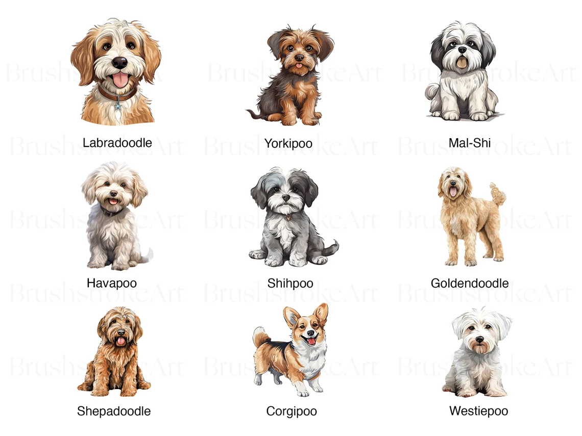 Crossbreed Dogs