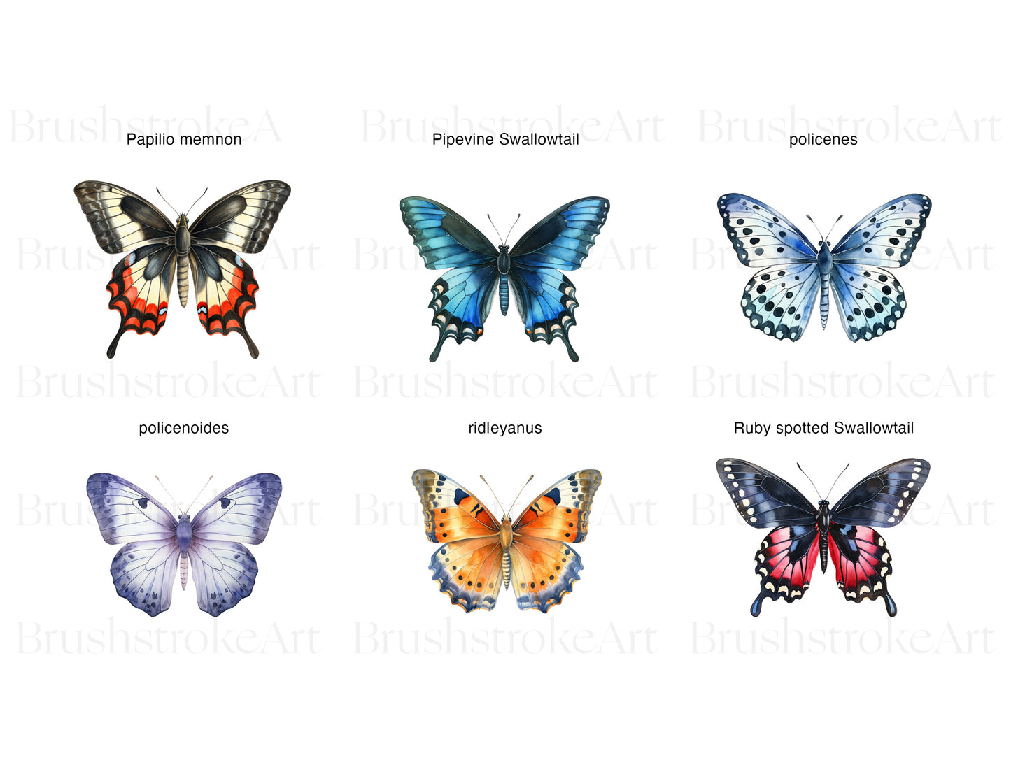 Cute Butterfly PNG