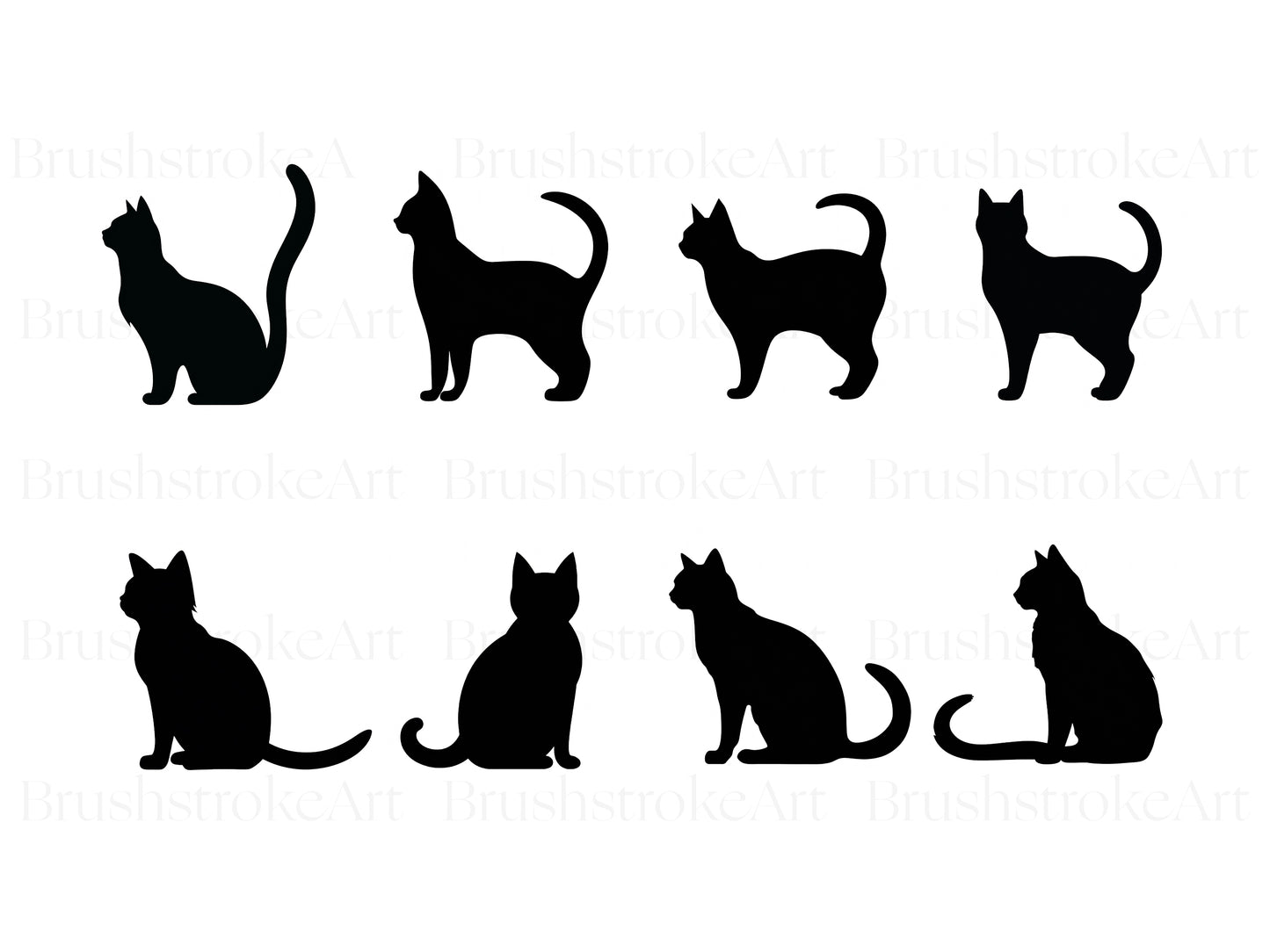 Cute Cat