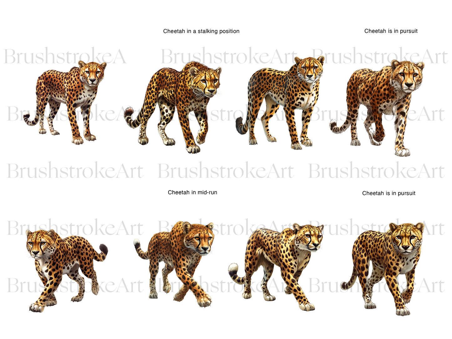 Cute Cheetah Clipart