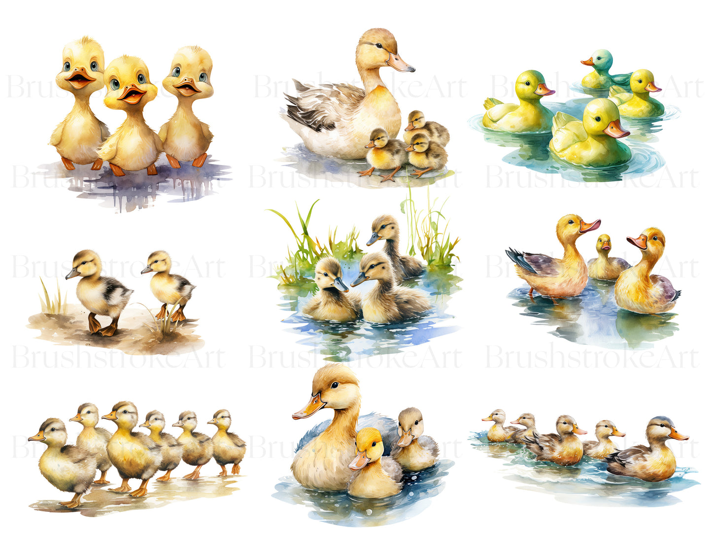 Cute Duckling