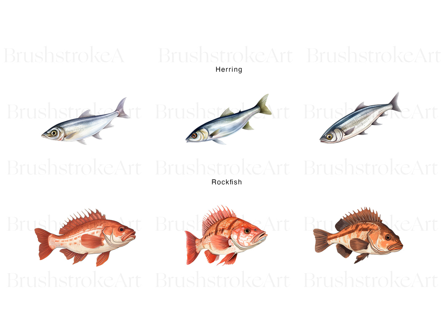 Cute Fish Clipart