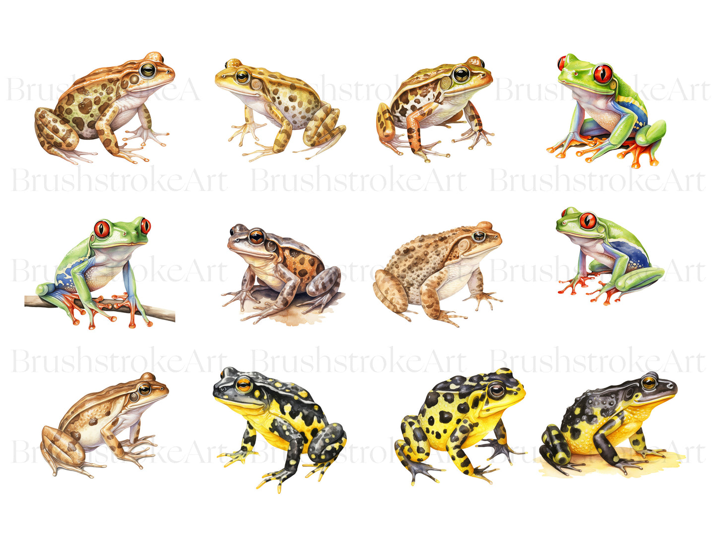 Watercolor Frog Clipart, Cane Toad, Leopard Frog PNG, Toad