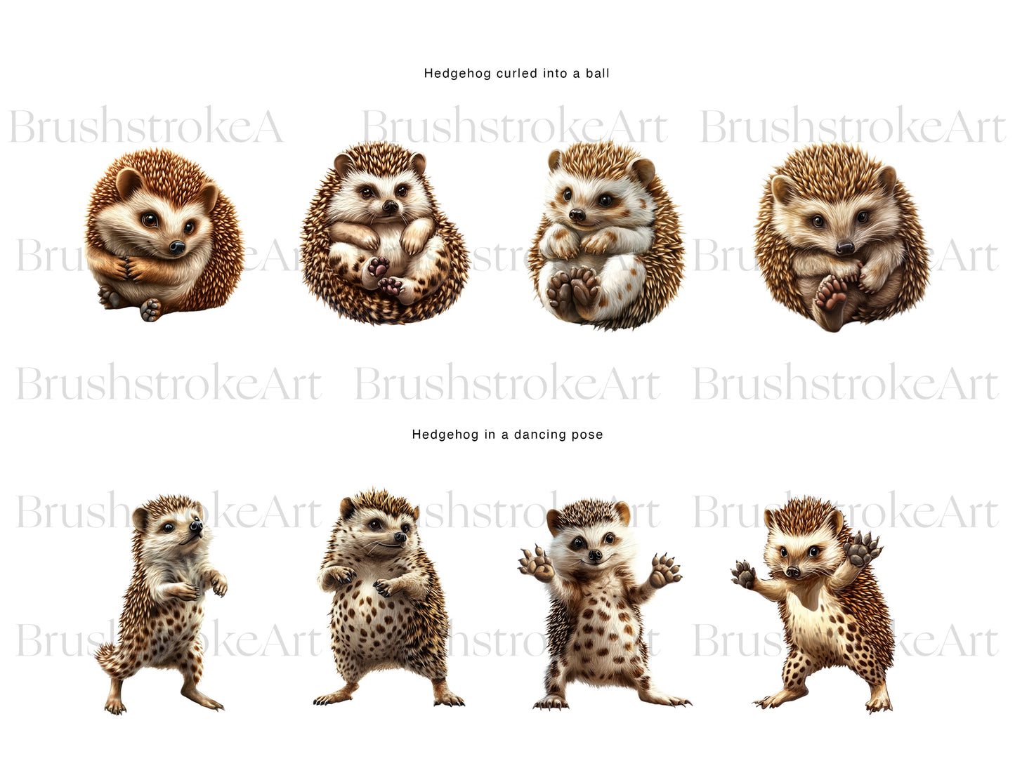 Cute Hedgehog