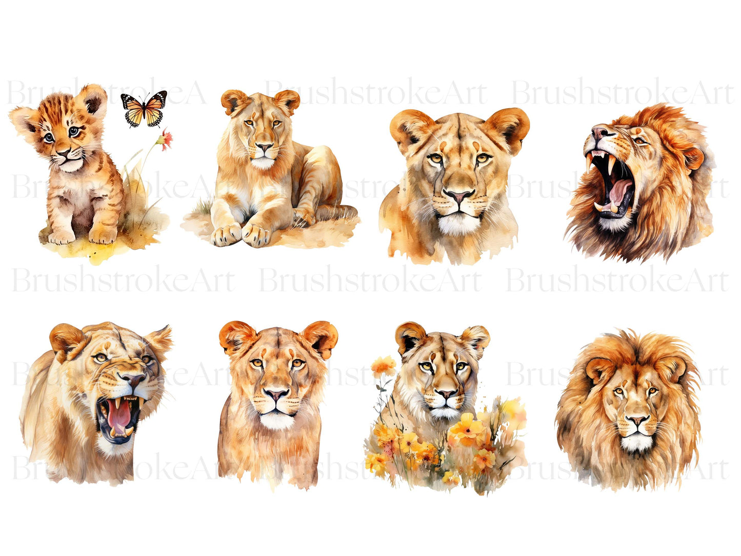 Cute Lion