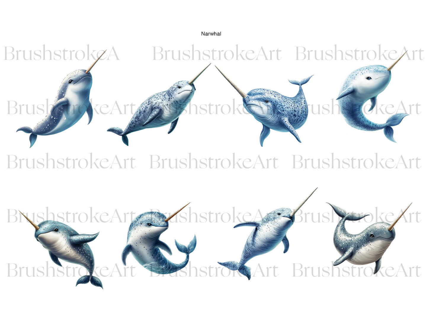 Cute Narwhal
