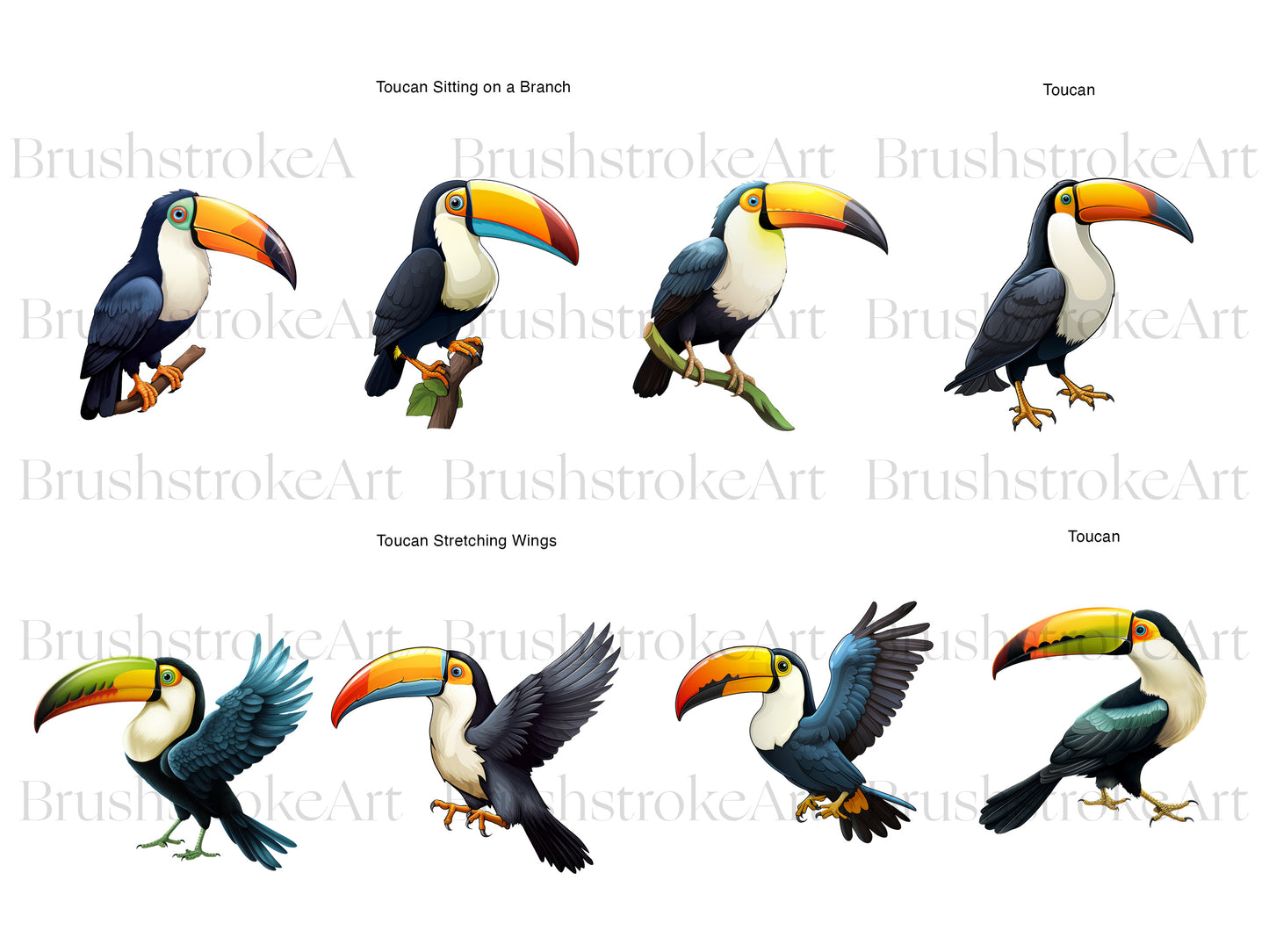 Cute Toucan