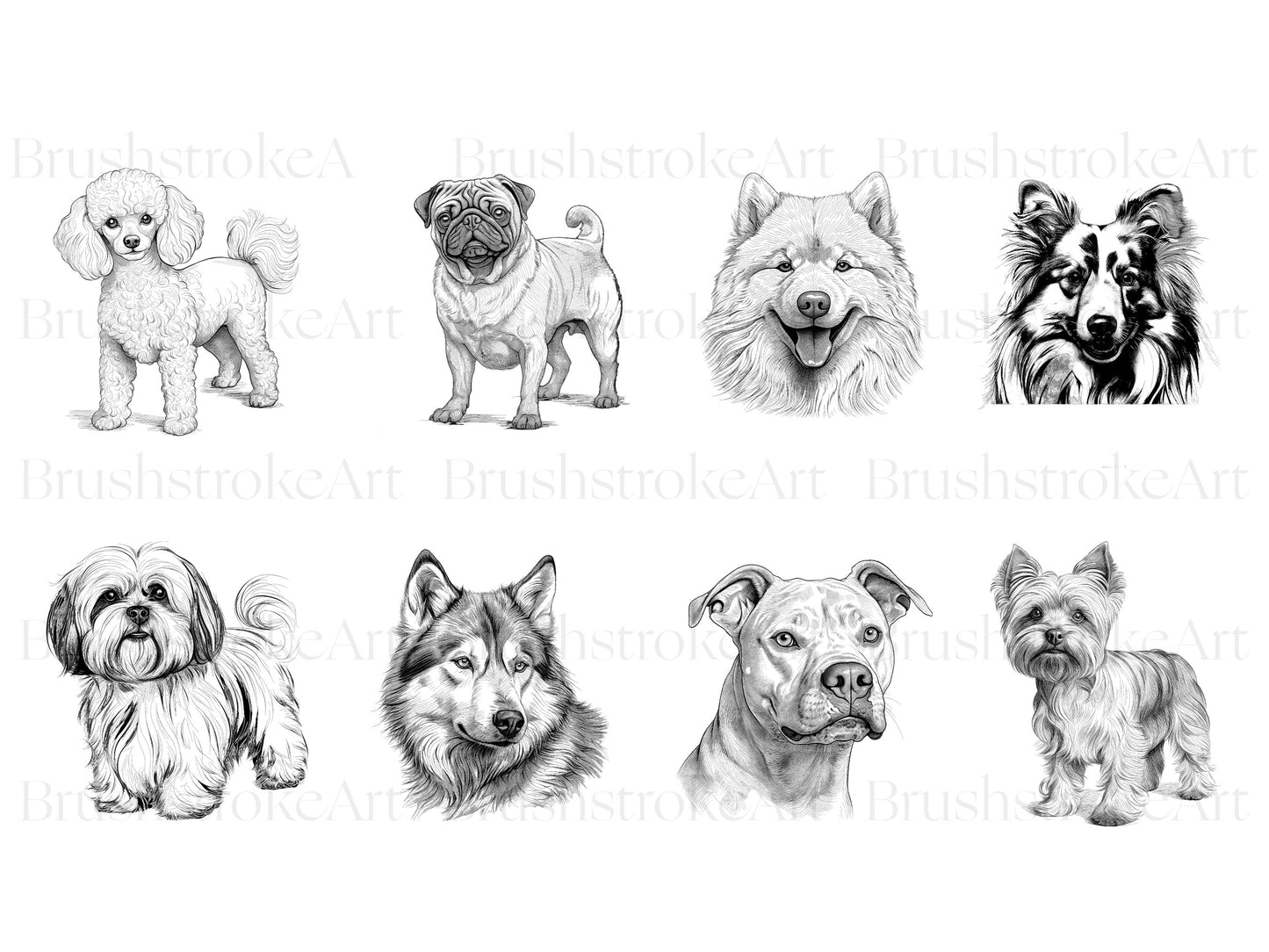 Cute dogs