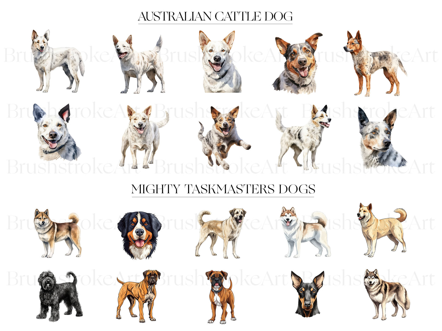 Cute dogs