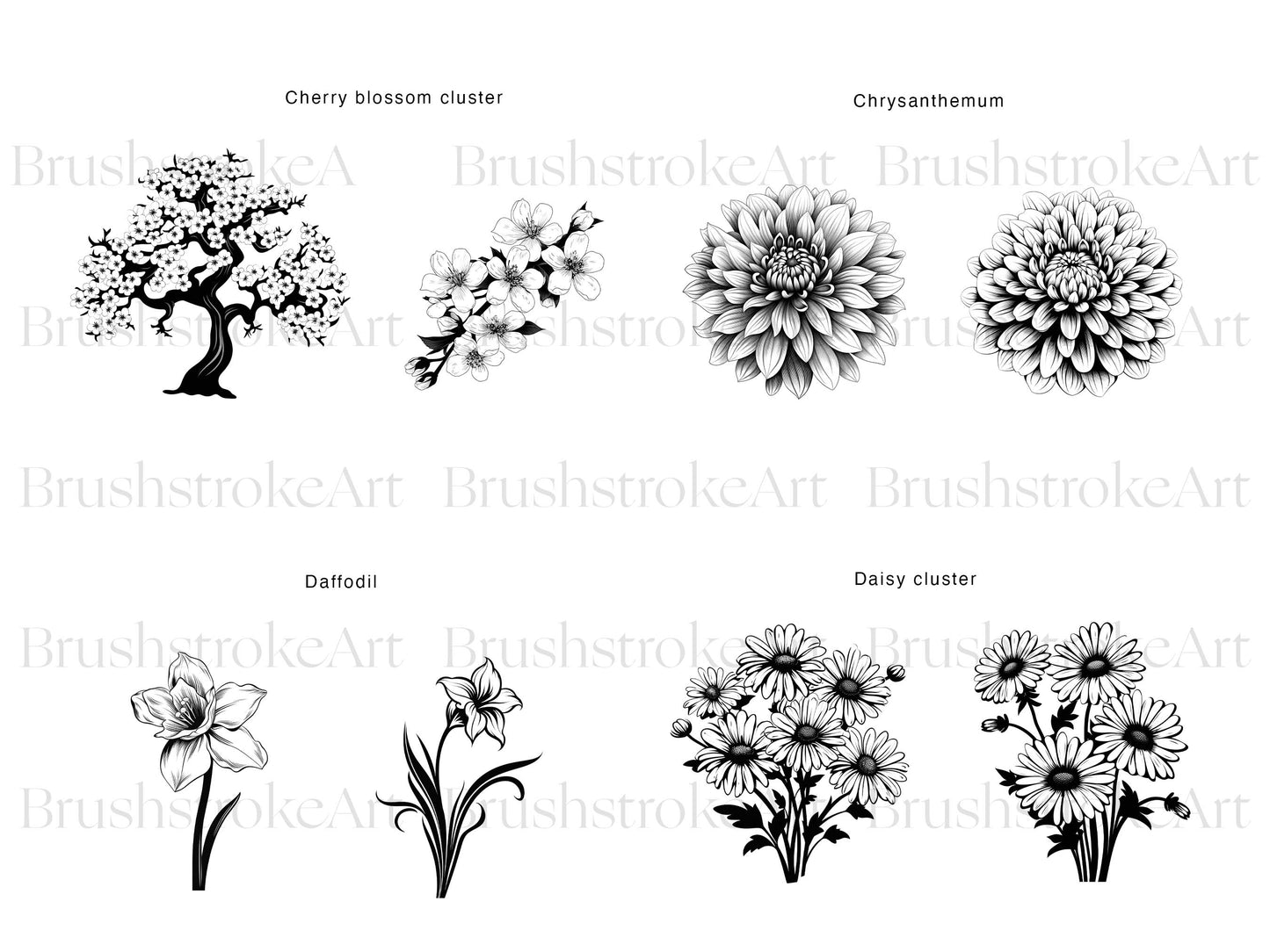 Daisy Line Art