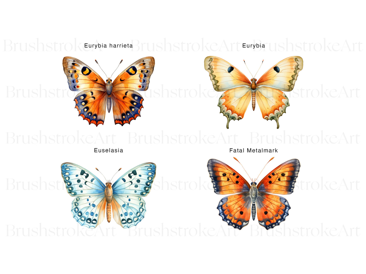 Digital Butterfly