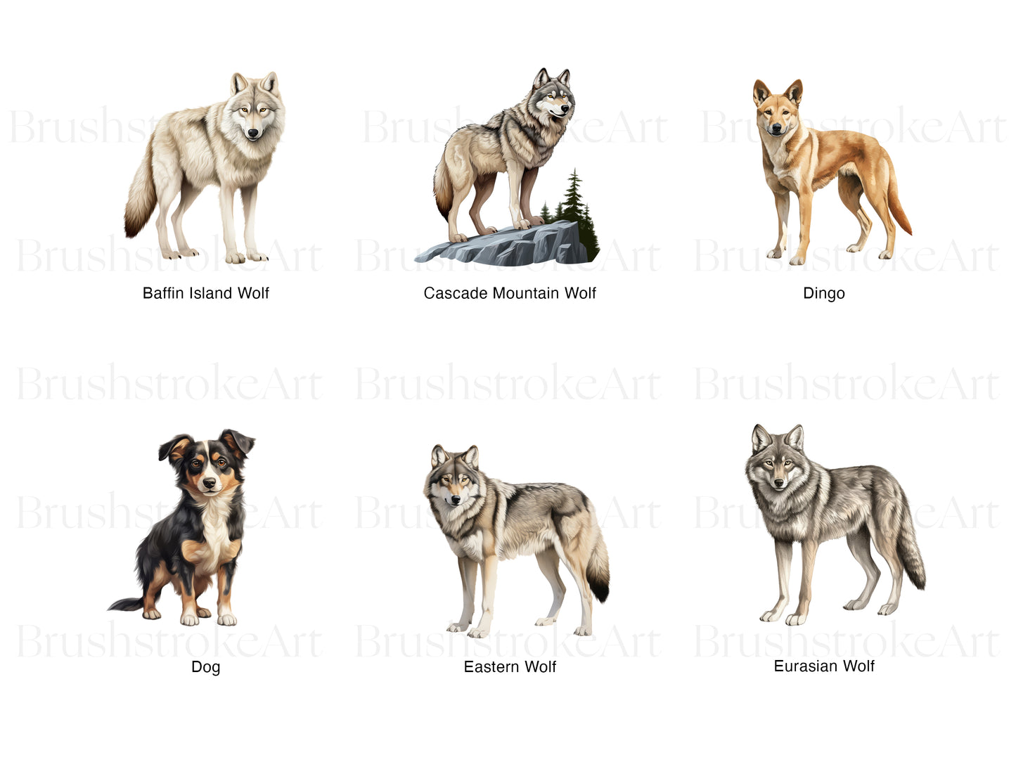 Dingo Clipart