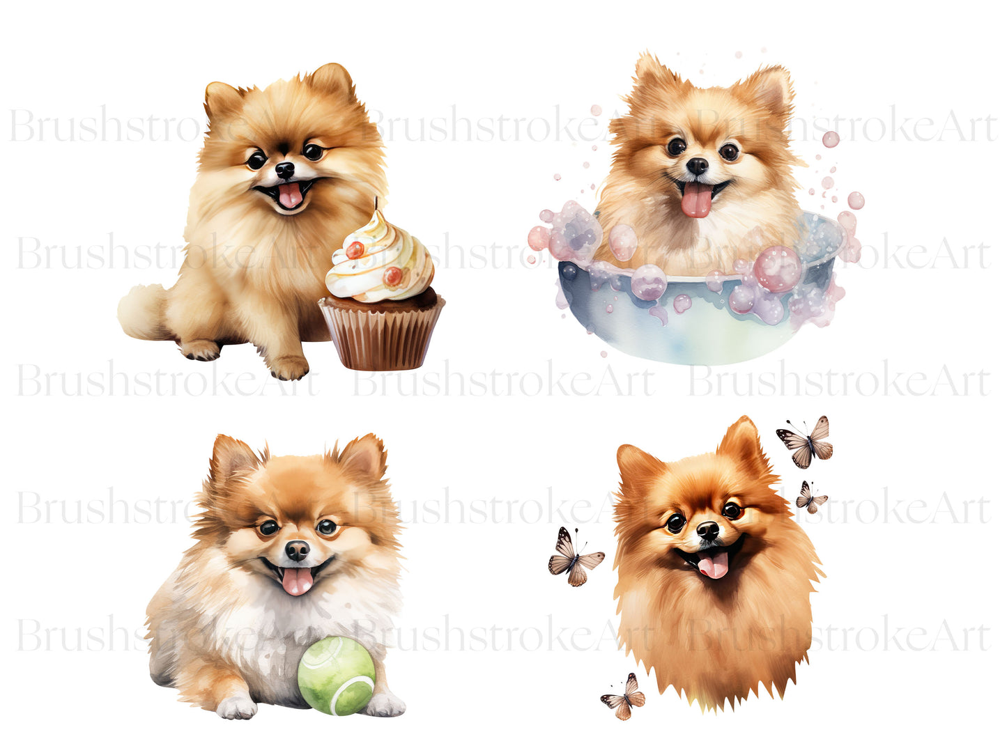 Dog Breed