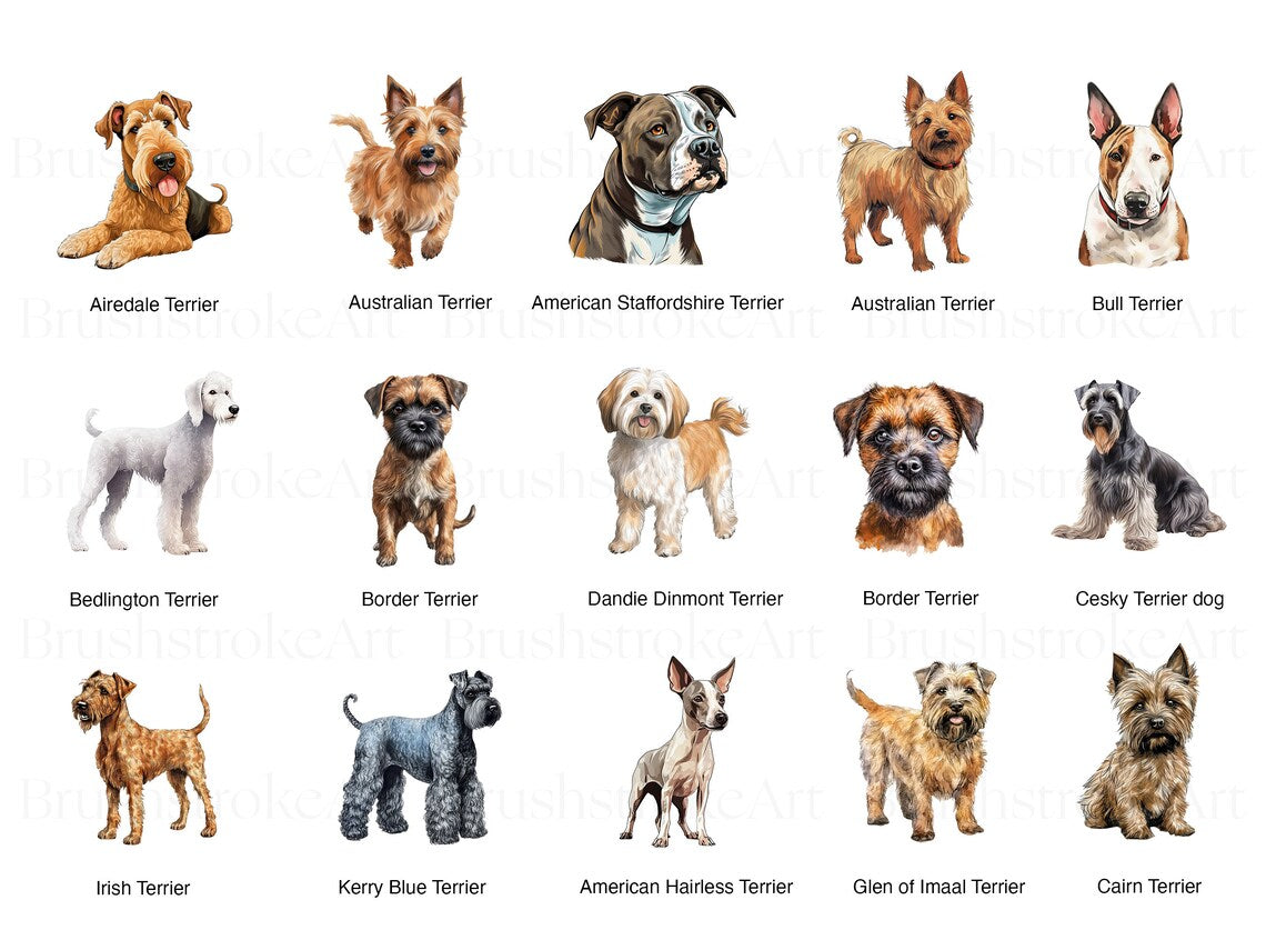 Dog Breed