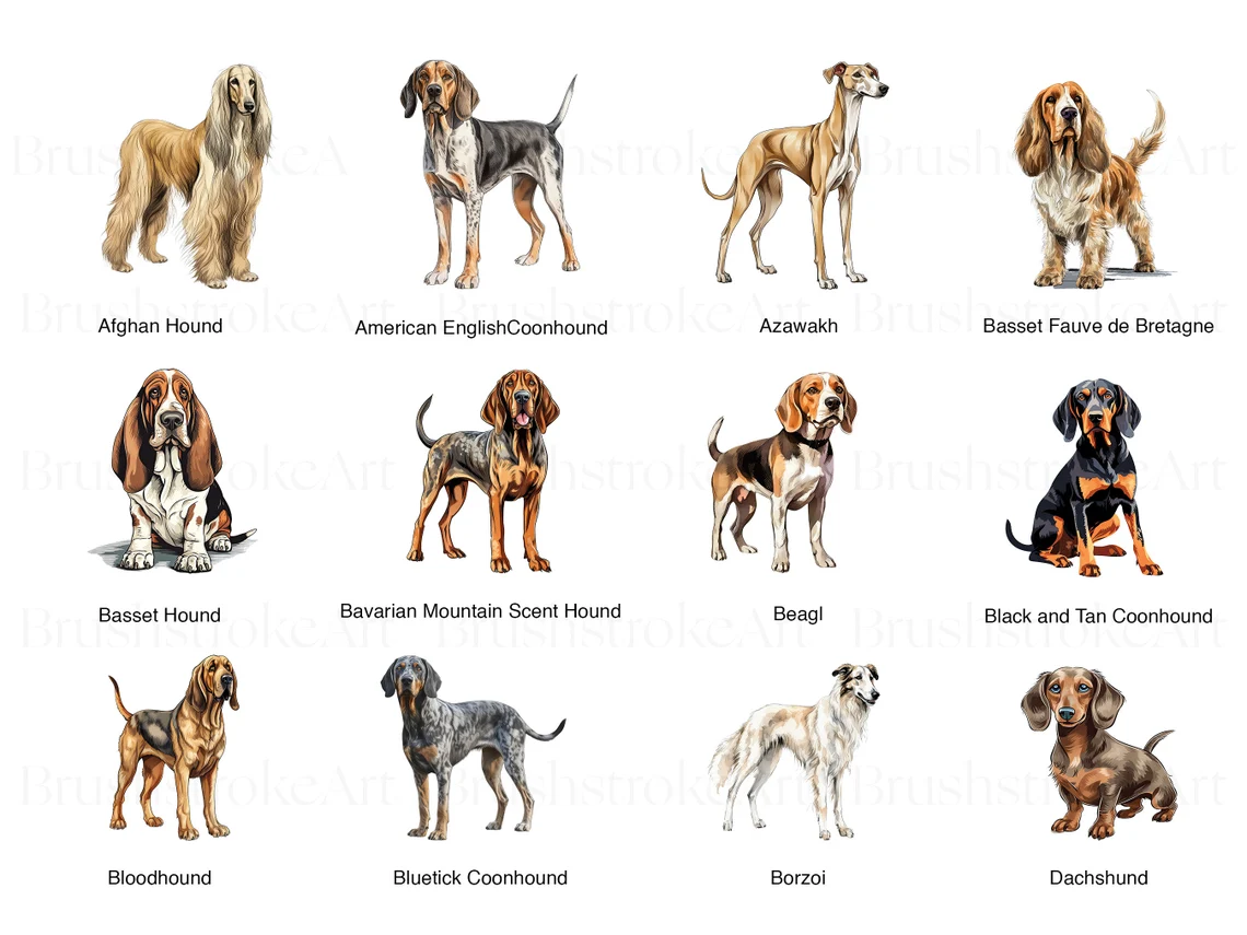 Dog Breeds Art