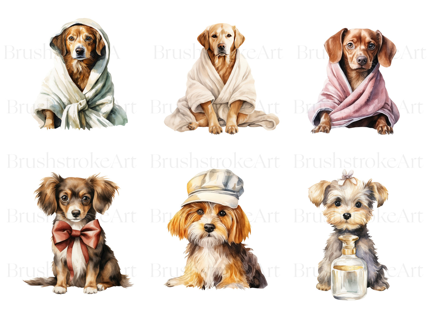 Dog Groomer
