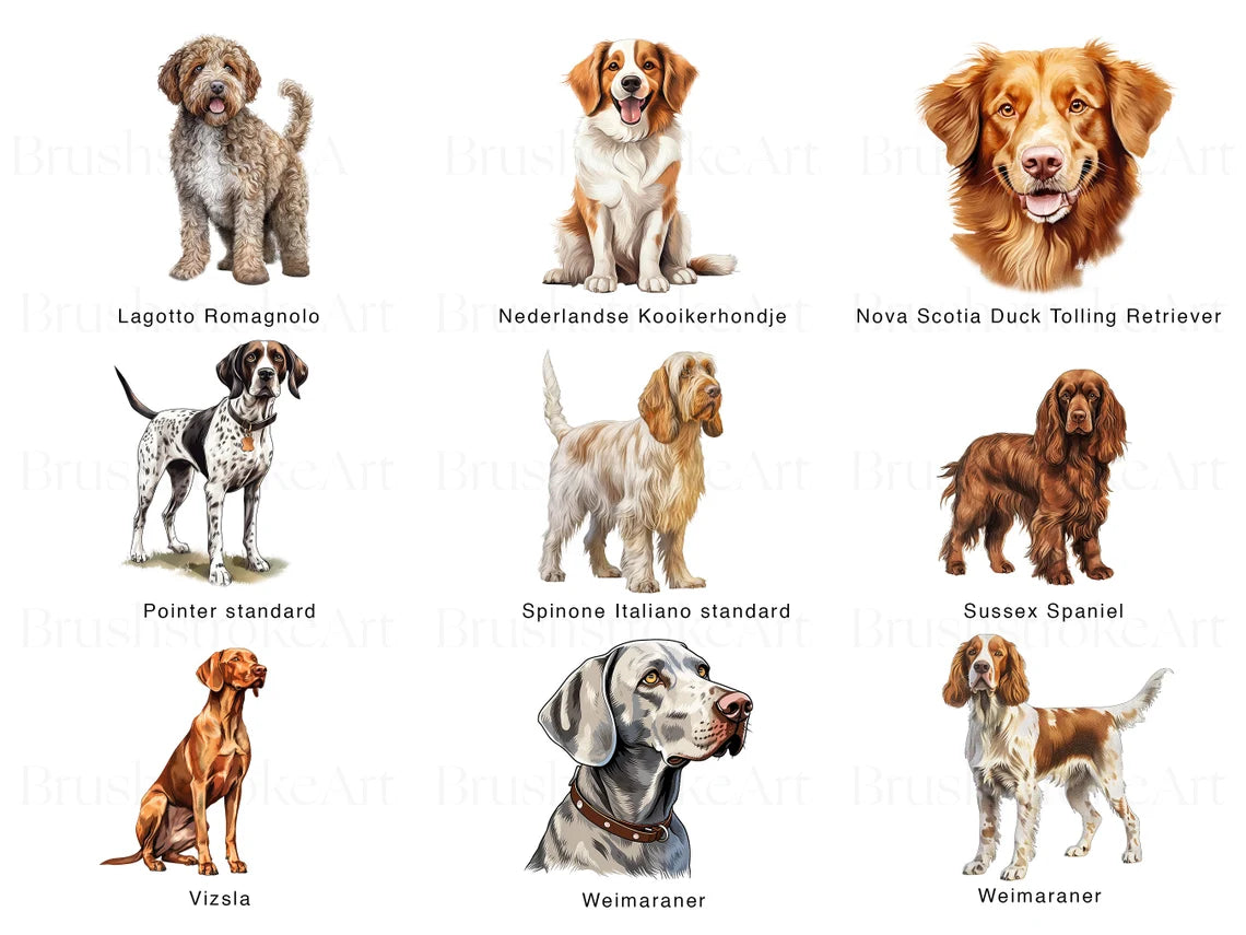 Dog Illustrations