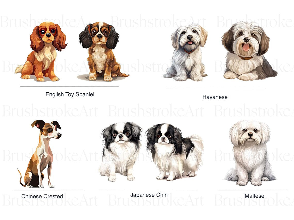 Dog Photos