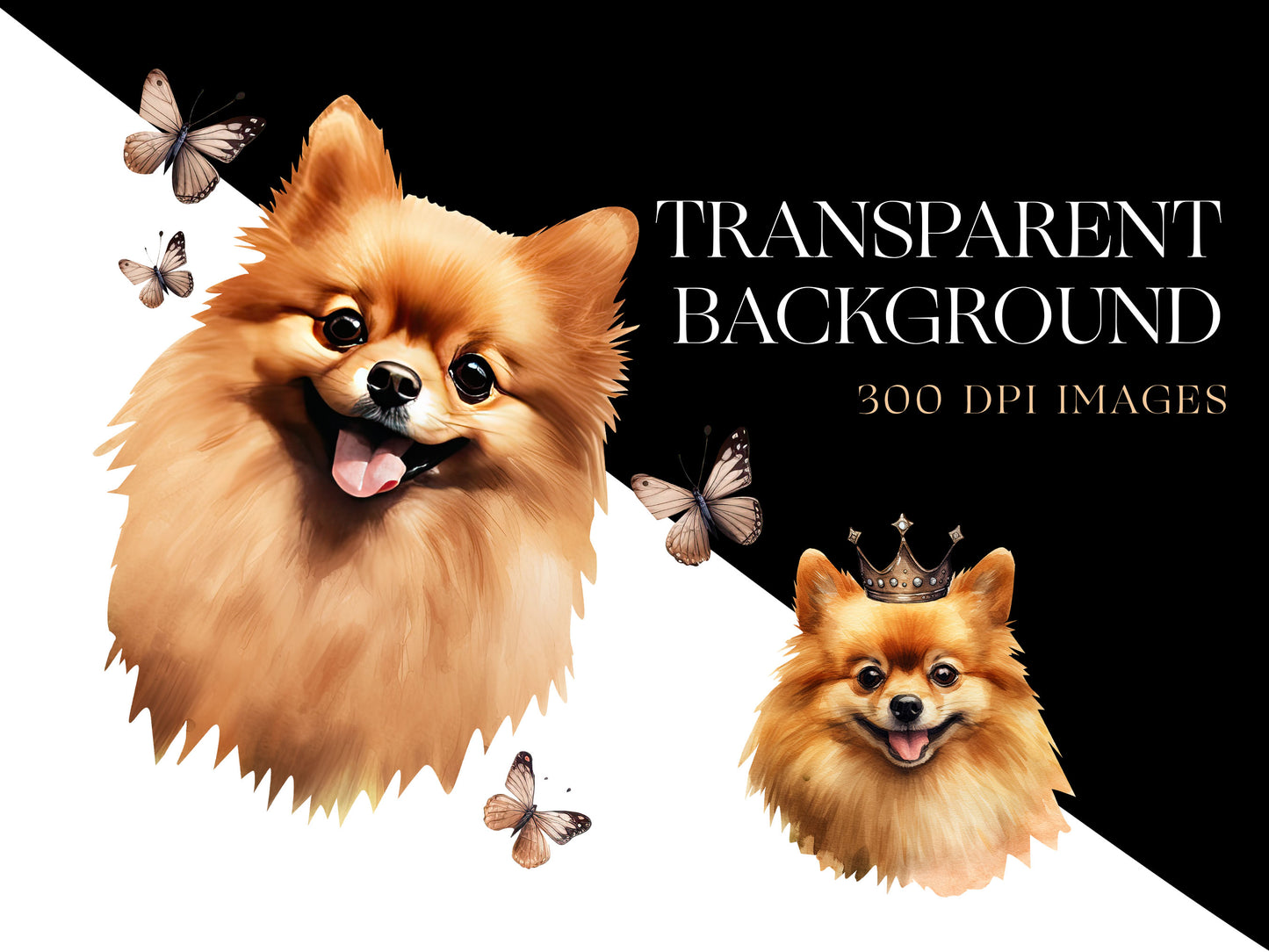 Dog Png
