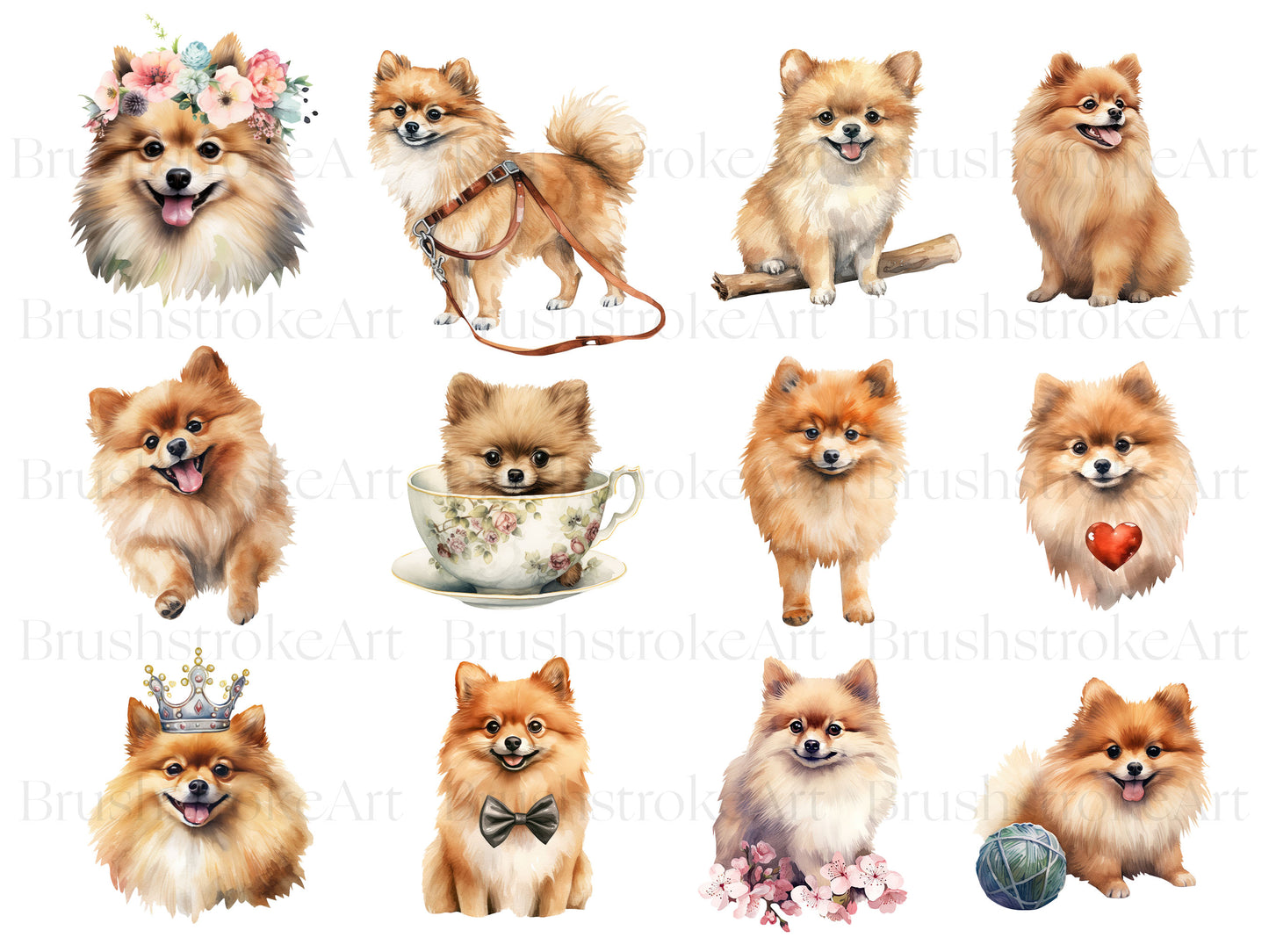 Dog Portrait