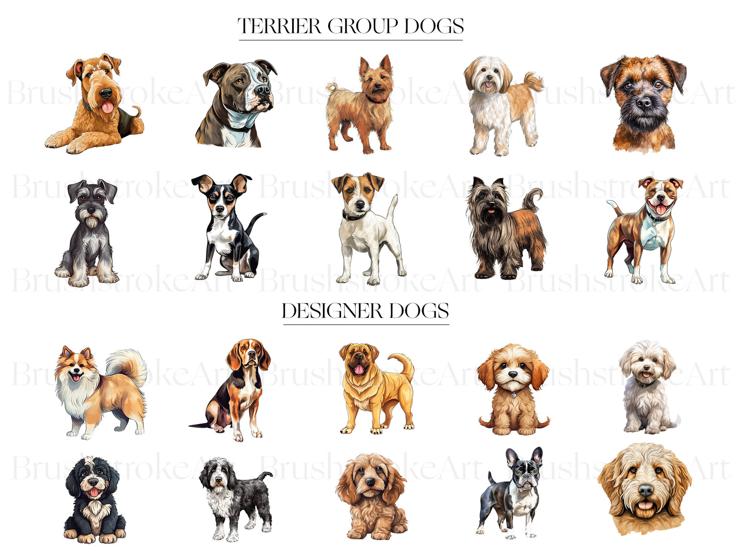 Dog breeds
