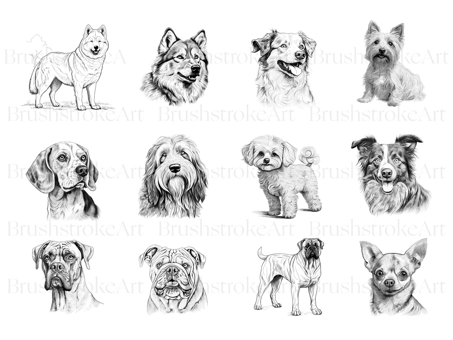 Dog clipart
