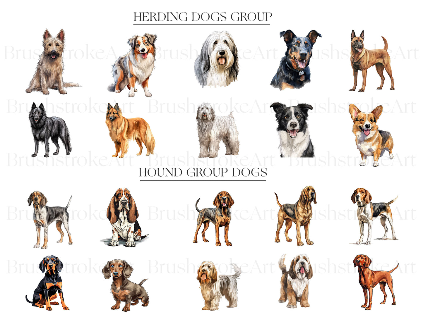 Dogs