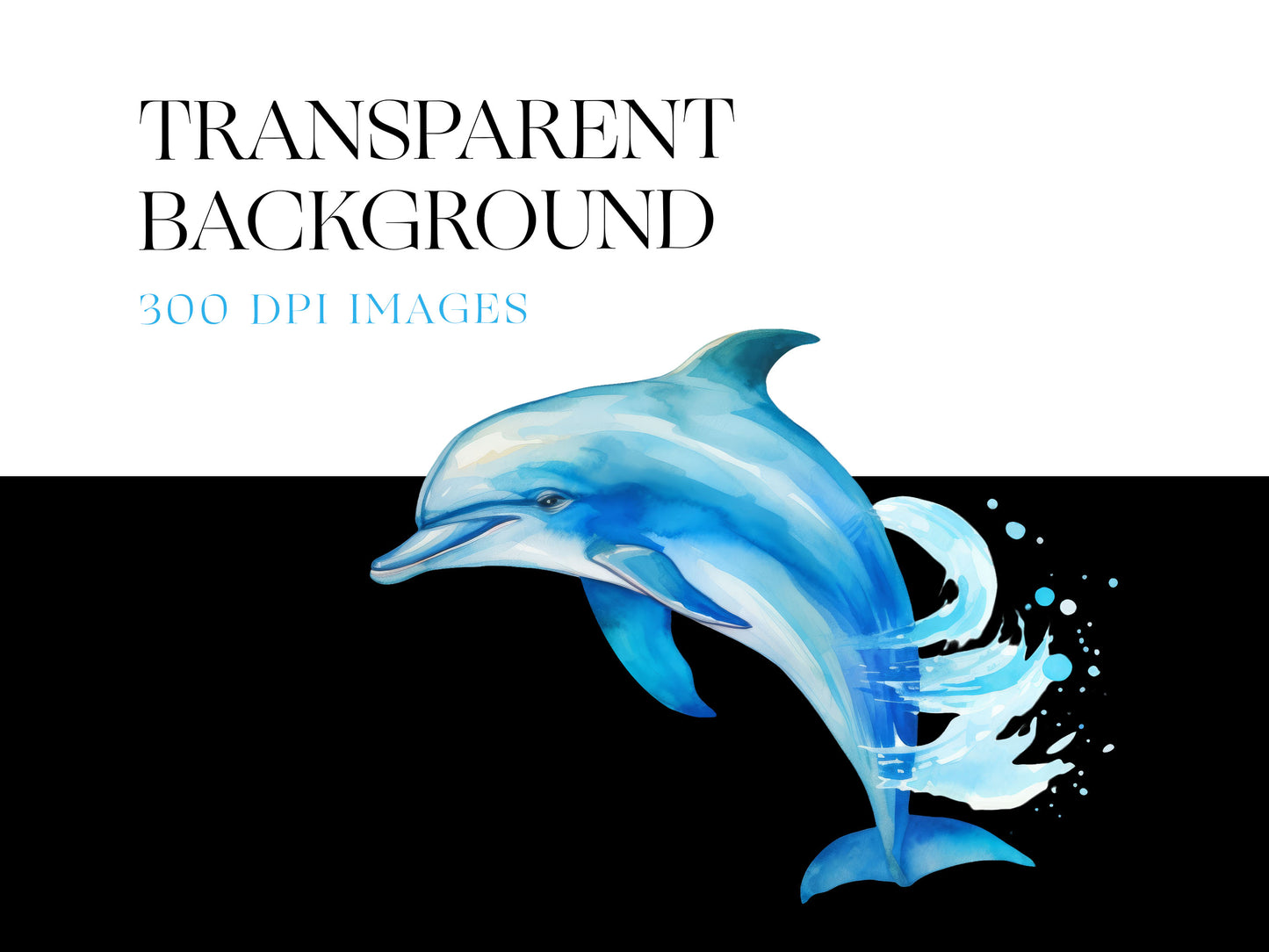 Dolphin PNG