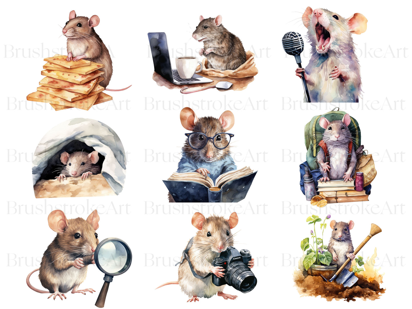 Domestic Rats